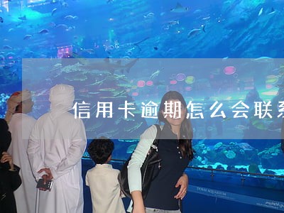 信用卡逾期怎么会联系到村里的 信用卡逾期怎么会联系到村里的