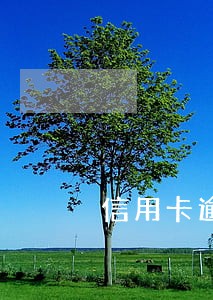 信用卡逾期怎么保护信息