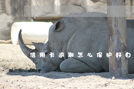 信用卡逾期怎么保护好自己