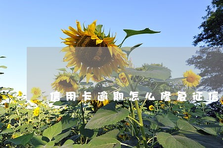 信用卡逾期怎么修复征信记录