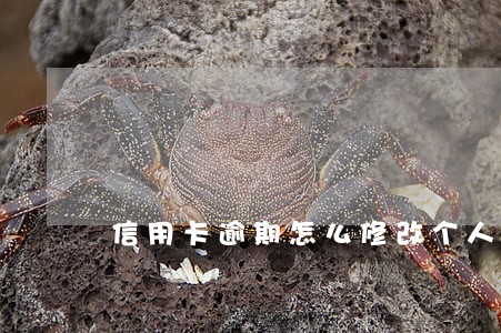 信用卡逾期怎么修改个人信息记录