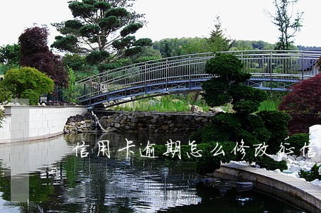 信用卡逾期怎么修改征信 信用卡逾期怎么修改征信