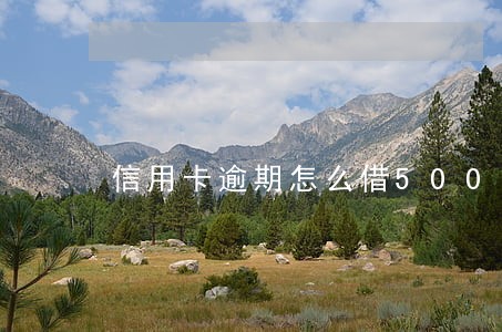 信用卡逾期怎么借500 信用卡逾期怎么借500