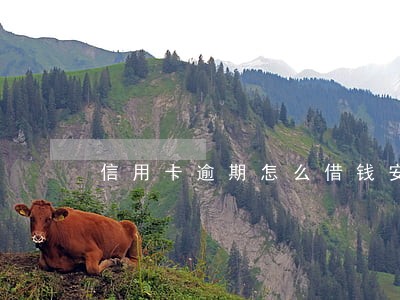 信用卡逾期怎么借钱安全 信用卡逾期怎么借钱安全