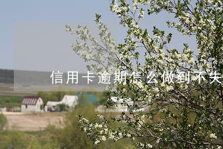 信用卡逾期怎么做到不失联
