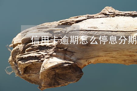 信用卡逾期怎么停息分期还款