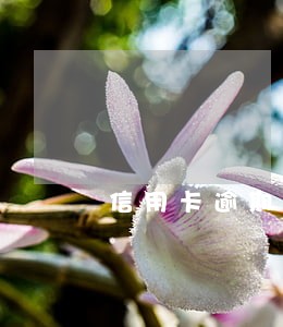 信用卡逾期怎么停止催收几天 信用卡逾期怎么停止催收几天
