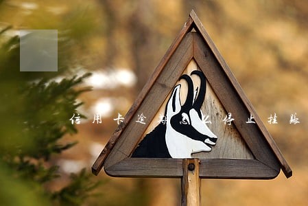 信用卡逾期怎么停止挂账 信用卡逾期怎么停止挂账