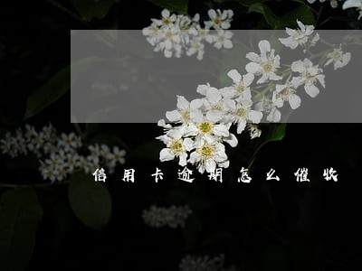 信用卡逾期怎么催收 信用卡逾期怎么催收