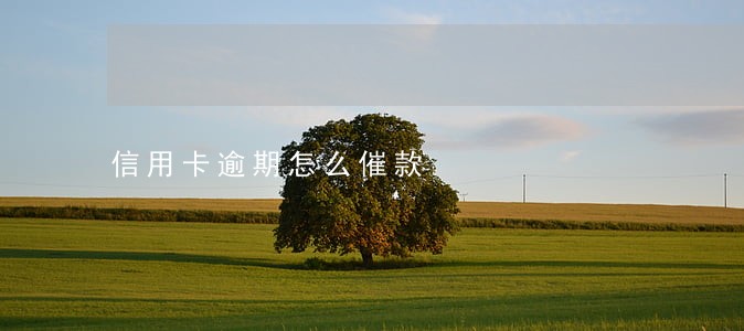 信用卡逾期怎么催款 信用卡逾期怎么催款