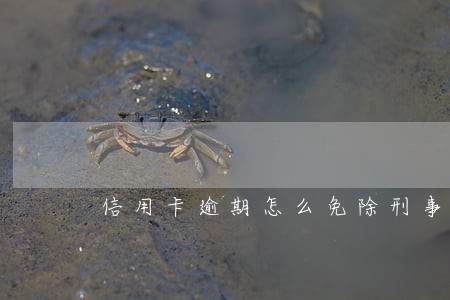 信用卡逾期怎么免除刑事罪6 信用卡逾期怎么免除刑事罪6