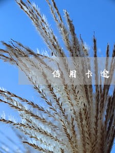 信用卡逾期怎么写说明 信用卡逾期怎么写说明
