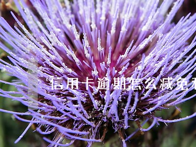 信用卡逾期怎么减免利息