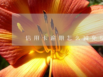 信用卡逾期怎么减免结清步骤 信用卡逾期怎么减免结清步骤