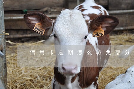 信用卡逾期怎么减免部分本金 信用卡逾期怎么减免部分本金