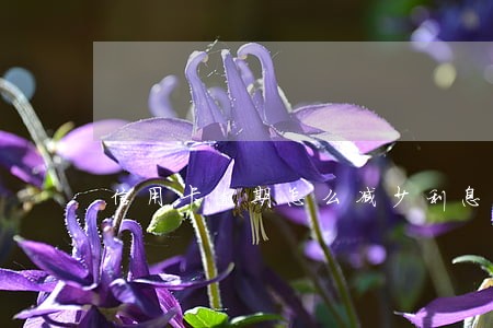 信用卡逾期怎么减少利息 信用卡逾期怎么减少利息