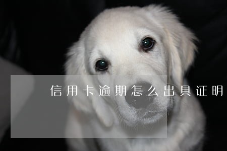信用卡逾期怎么出具证明 信用卡逾期怎么出具证明