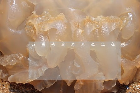 信用卡逾期怎么出证明 信用卡逾期怎么出证明
