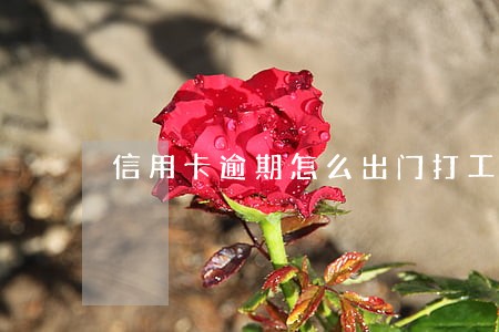 信用卡逾期怎么出门打工呢 信用卡逾期怎么出门打工呢