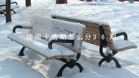 信用卡逾期怎么分36期 信用卡逾期怎么分36期