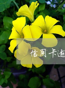 信用卡逾期怎么判断是否有案例 信用卡逾期怎么判断是否有案例