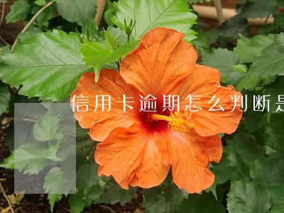 信用卡逾期怎么判断是恶意还款 信用卡逾期怎么判断是恶意还款
