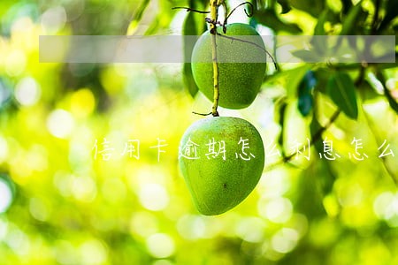 信用卡逾期怎么利息怎么算的 信用卡逾期怎么利息怎么算的