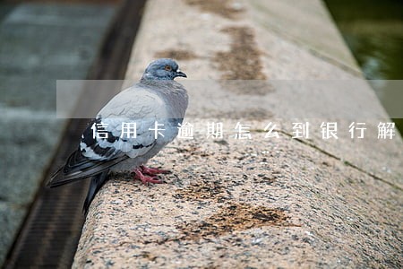 信用卡逾期怎么到银行解决