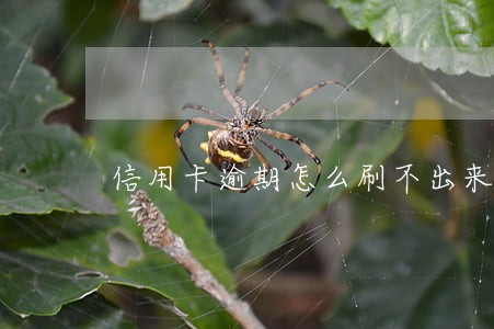 信用卡逾期怎么刷不出来吗 信用卡逾期怎么刷不出来吗