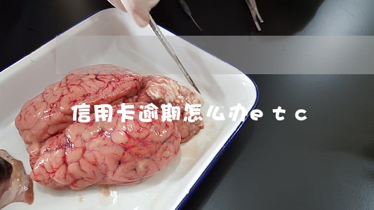 信用卡逾期怎么办etc