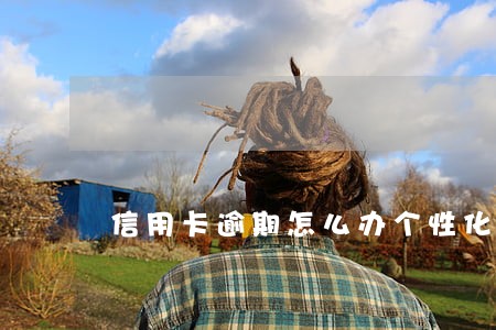 信用卡逾期怎么办个性化分期 信用卡逾期怎么办个性化分期