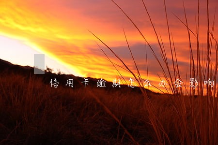 信用卡逾期怎么办会影响银行吗 信用卡逾期怎么办会影响银行吗