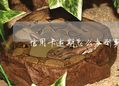信用卡逾期怎么办刑事 信用卡逾期怎么办刑事
