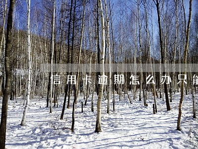 信用卡逾期怎么办只能起诉吗 信用卡逾期怎么办只能起诉吗