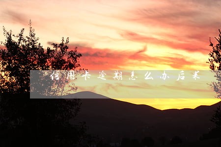 信用卡逾期怎么办后果 信用卡逾期怎么办后果