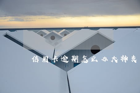 信用卡逾期怎么办大神支招
