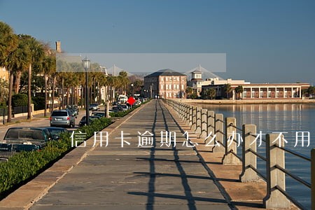 信用卡逾期怎么办才不用上征信 信用卡逾期怎么办才不用上征信
