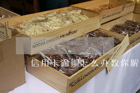 信用卡逾期怎么办教你解决 信用卡逾期怎么办教你解决