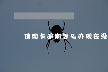 信用卡逾期怎么办现在没有能力还 信用卡逾期怎么办现在没有能力还