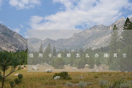 信用卡逾期怎么办理其它网贷