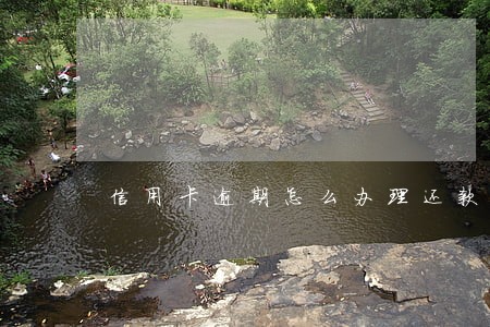 信用卡逾期怎么办理还款 信用卡逾期怎么办理还款