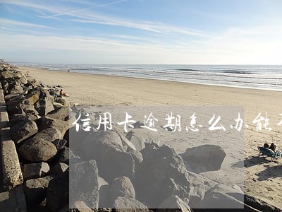 信用卡逾期怎么办能不能消除 信用卡逾期怎么办能不能消除