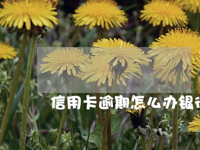 信用卡逾期怎么办银行 信用卡逾期怎么办银行
