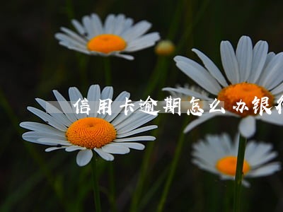 信用卡逾期怎么办银行证明