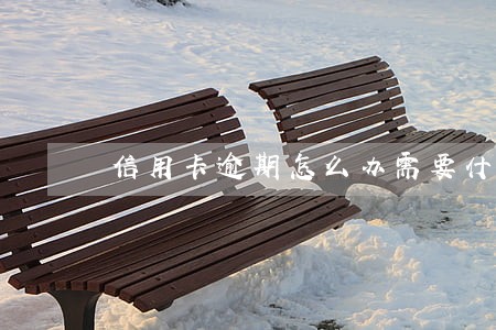 信用卡逾期怎么办需要什么 信用卡逾期怎么办需要什么