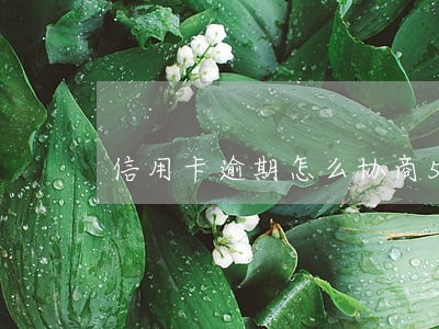 信用卡逾期怎么协商5年60期 信用卡逾期怎么协商5年60期