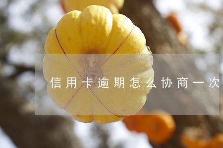 信用卡逾期怎么协商一次性还款