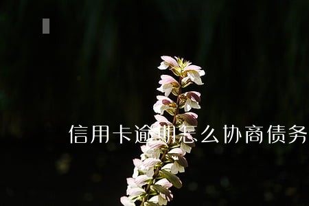 信用卡逾期怎么协商债务