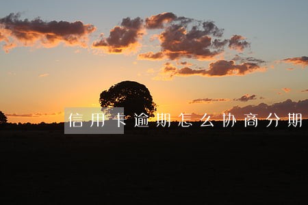 信用卡逾期怎么协商分期付款 信用卡逾期怎么协商分期付款