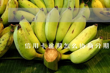 信用卡逾期怎么协商分期处理 信用卡逾期怎么协商分期处理